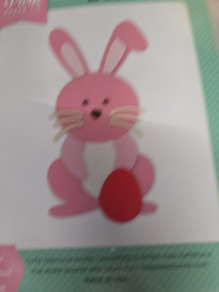 Echo Park Peter Cottontail Die Set