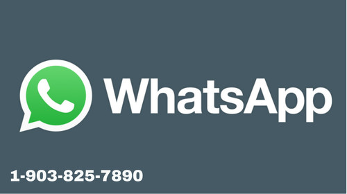 46817246 Doosan Drive Coupling Rubber Element