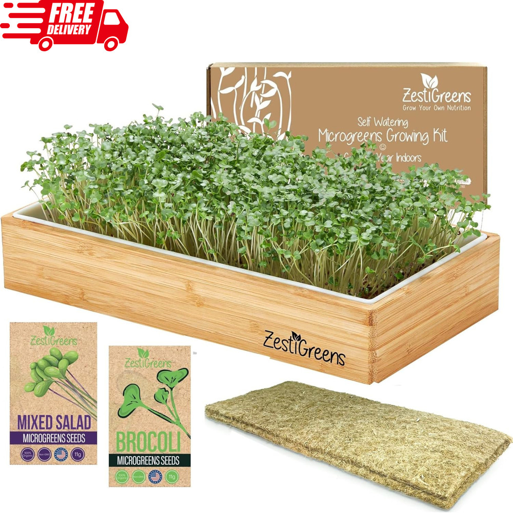 Self-Watering Microgreens Growing Kit with Seeds & Tray, No Soil Needed