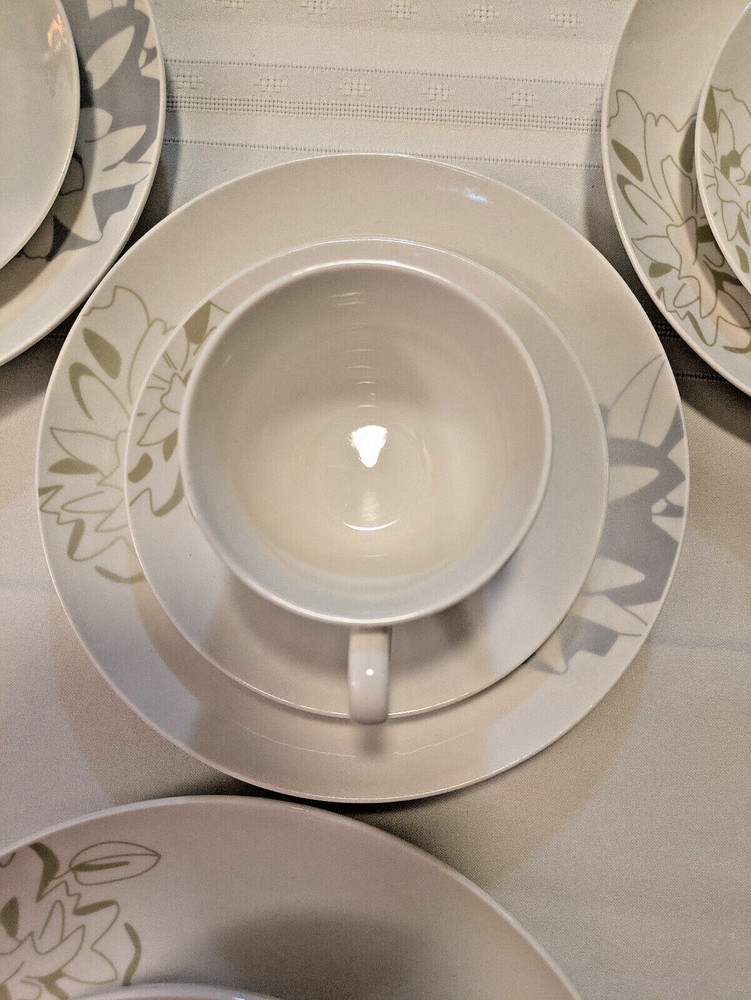 Gust Spring Floral 29 Pc Dinnerware Set Plates Bowls Cups Missing 1 Plate Dahlia