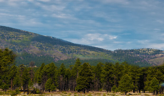 Model Railroad Backdrop Flagstaff by TrainJunkies