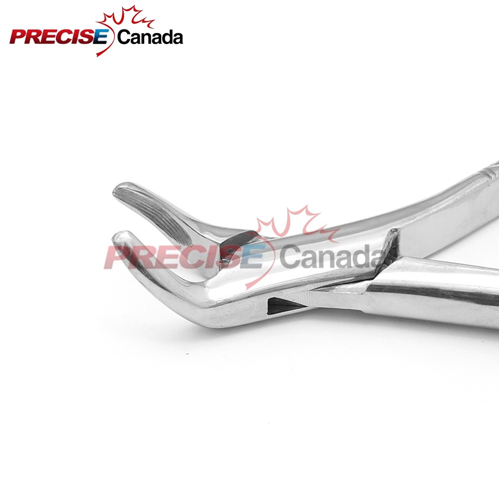 Extracting Forceps # 14 Dental Surgical Instruments