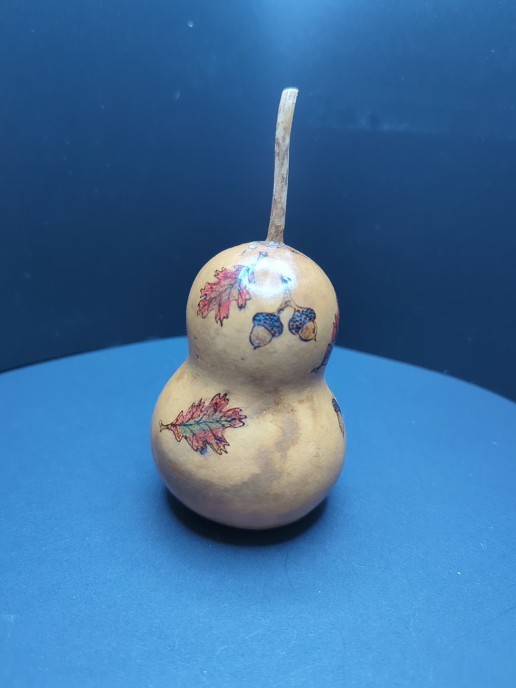 Hand Painted Squirrel Small Gourd