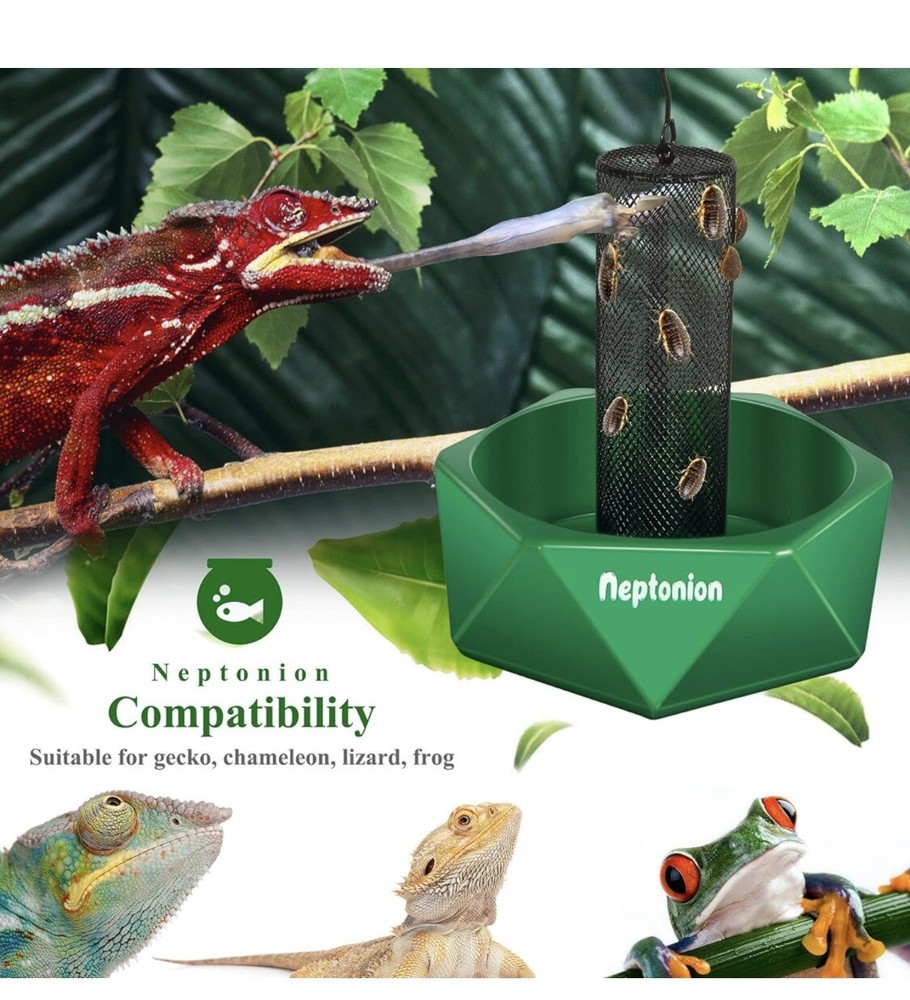 CHAMELEON FEEDING BOWL Bugs Bar with Column for Lizard Bearded Dragon NEPTONION