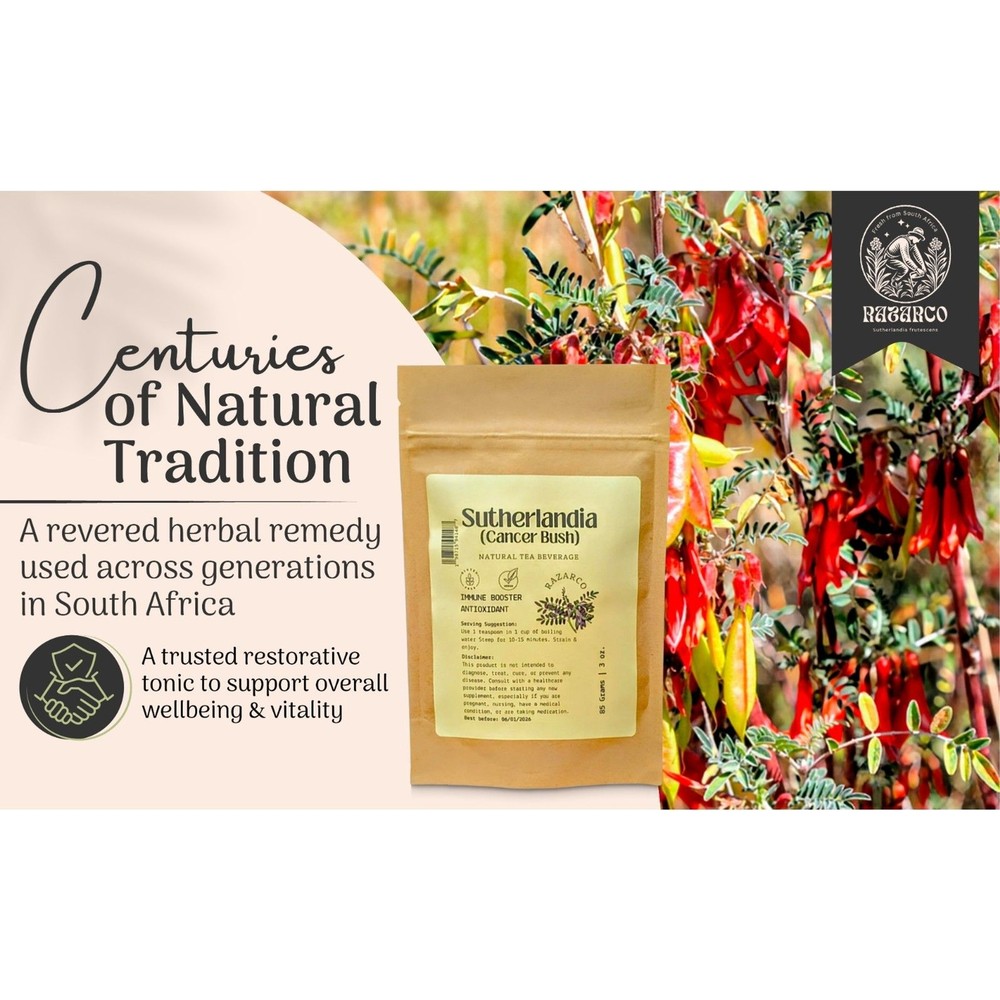 Sutherlandia frutescens Herbal Tea - Immune Support Metabolic Boost