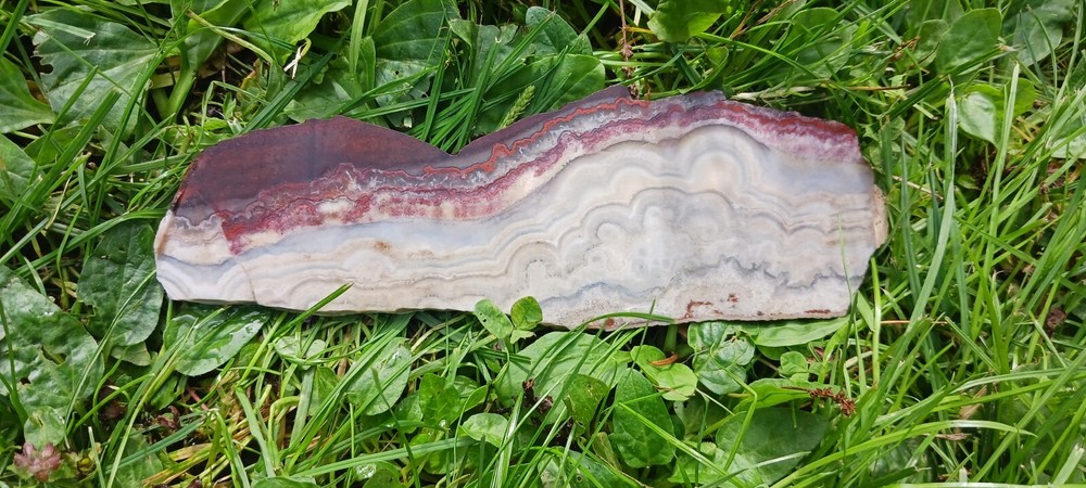Lace Agate, slab, old stock