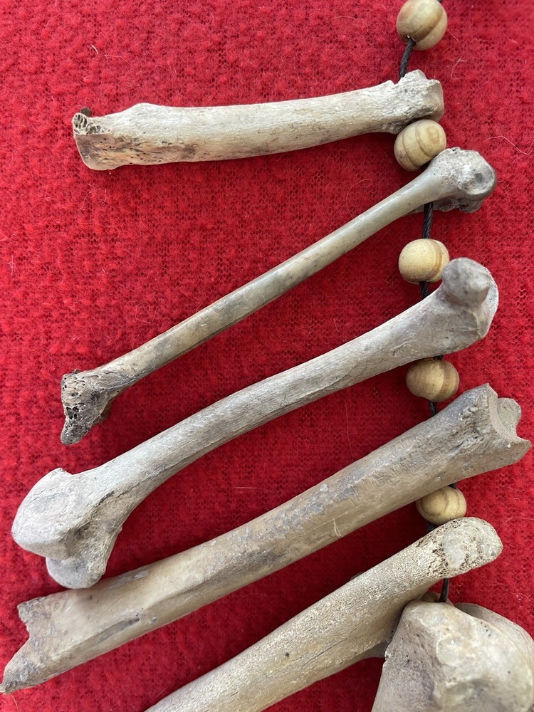 Extraordinary Old Aztec Xoloitzuintle Bone Shaman’s Necklace