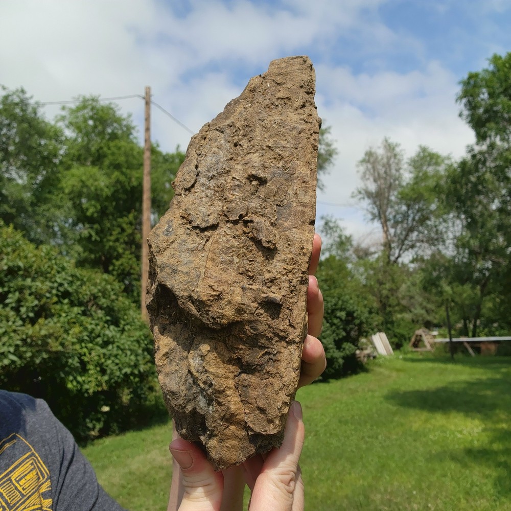Large Heavy Dinosaur Bone Section - Authentic Fossil - from Hell Creek Formation