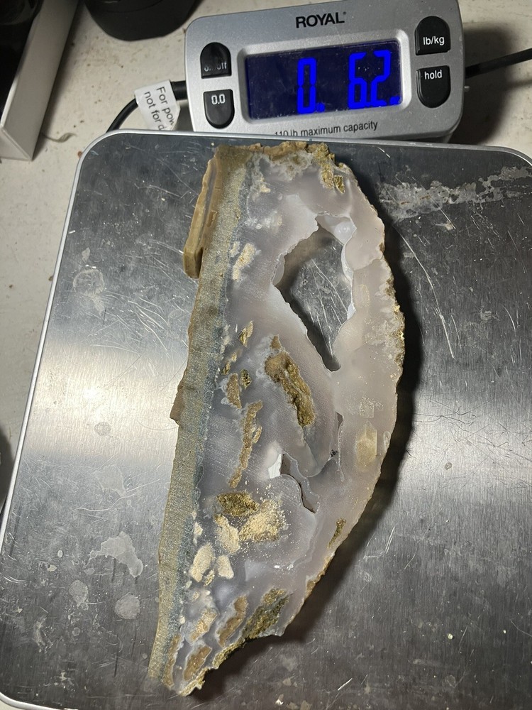 Agatized Limb Cast Slab (Indonesia)