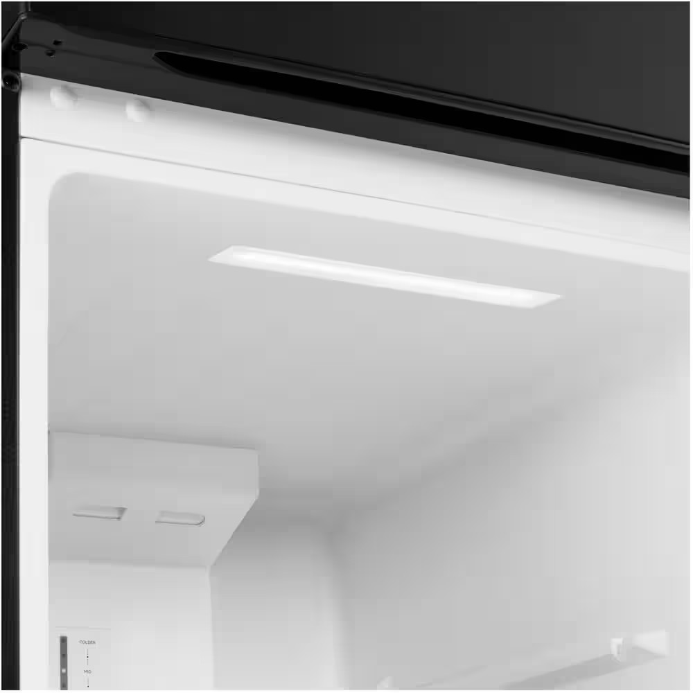 10.1 cu. ft. Top Freezer Refrigerator in Black