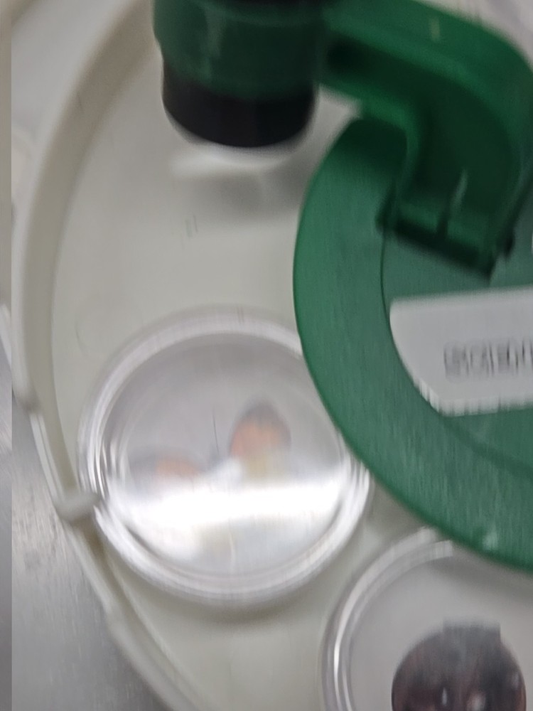 vintage science in action bug viewer with microscope for kids