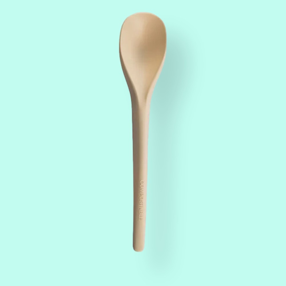 ~270 pcs Compostable Spoons Beige ~6" Disposable Eco Friendly Medium-Duty