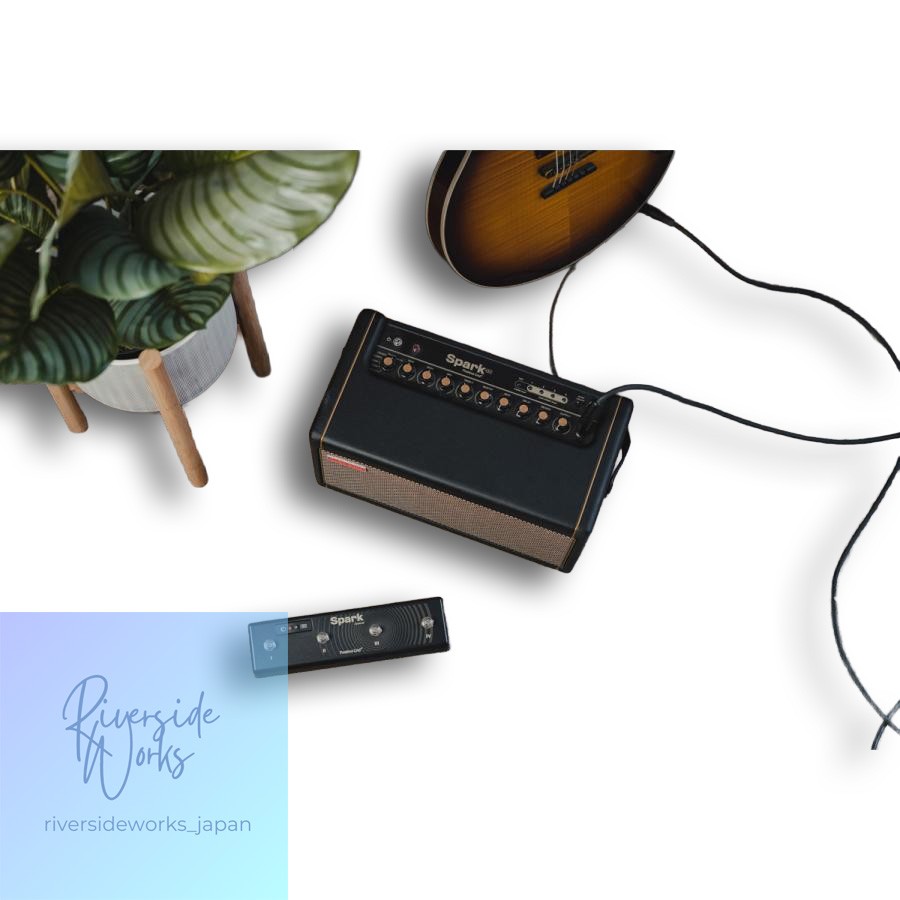 Positive Grid Spark Control - Foot Controller for Spark Amp