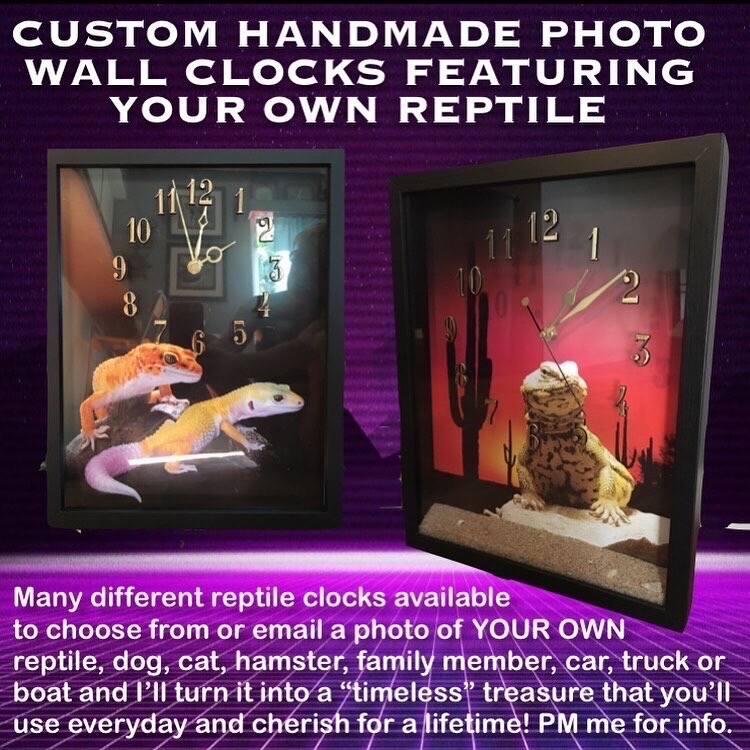 Bearded Dragon Clocks