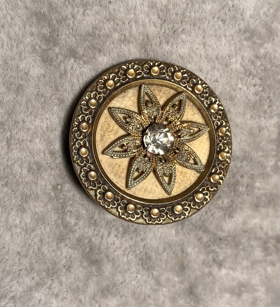 Victorian Unique Celluloid Antique Button 1-3/8” Diameter