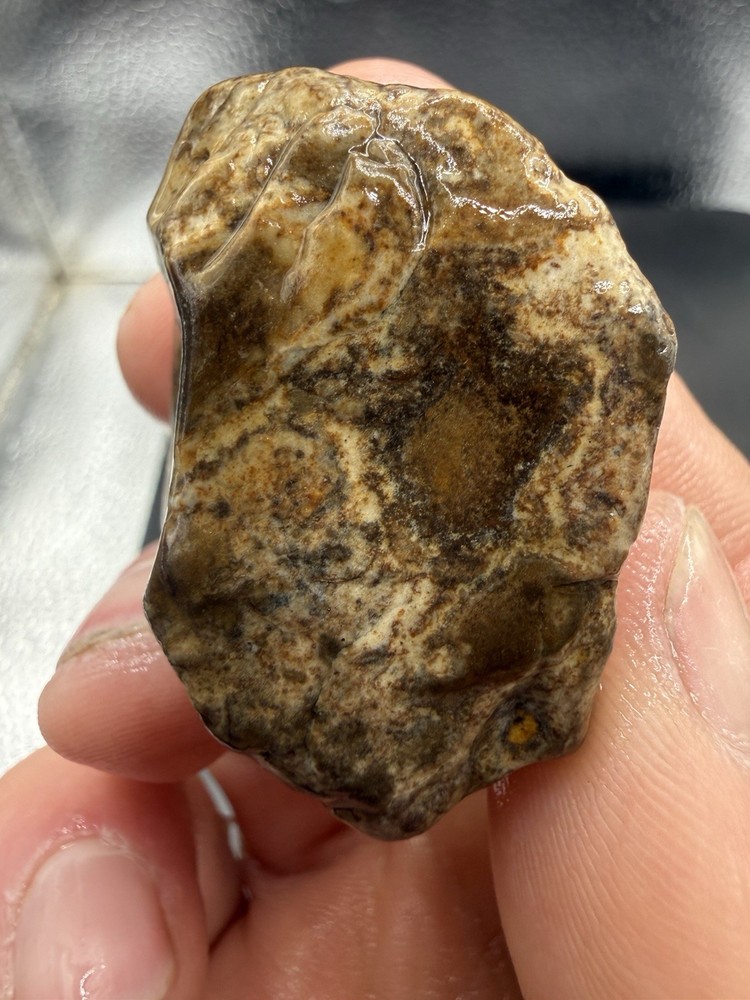 Indiana Ohio River Glacier Erratic Beach Polished Agate 180 Carats