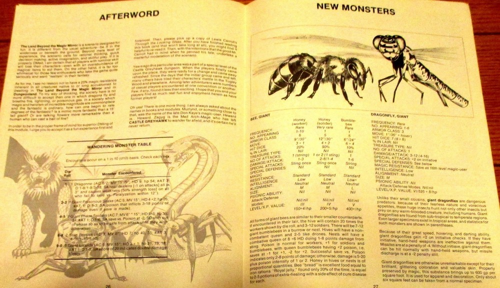1983 TSR Advanced Module EX2 The Land Beyond the Magic Mirror Adanced D&D NICE!!