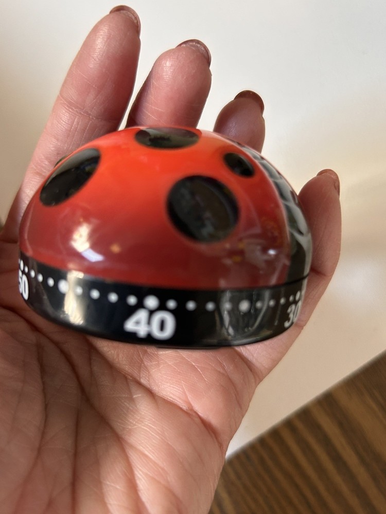 Ladybug Kitchen Timer Mechanical Wind up Kitchen Cooking