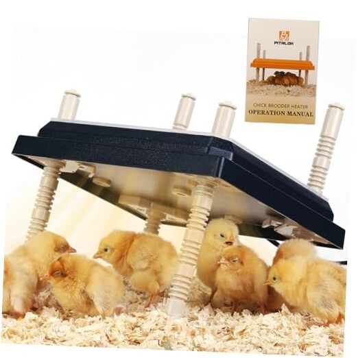 Brooder Heater for Chicks: Chick Brooder Heating Plate with Easy- Black-10x10