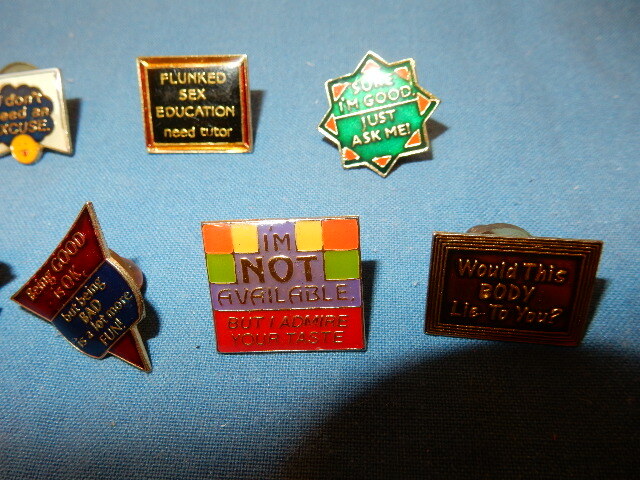 19 Brooch Pins