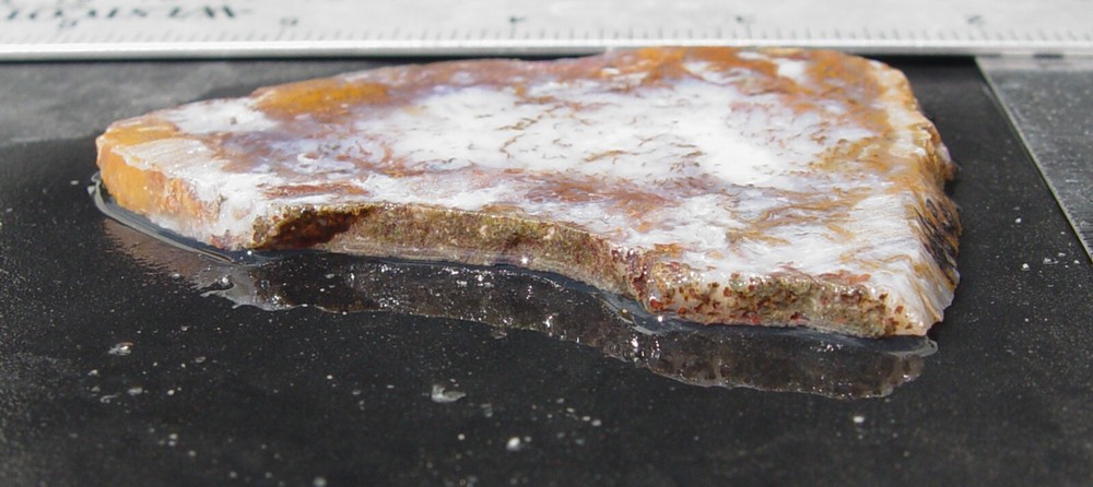 Gold Moss Agate Lapidary Slab 1486