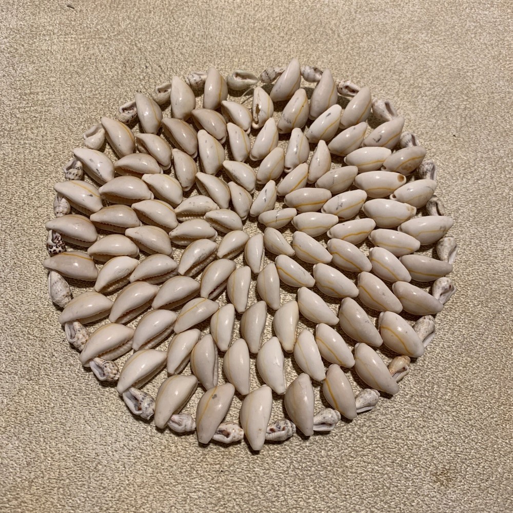 Vintage Cowrie & Puka Shell Trivet - 6”