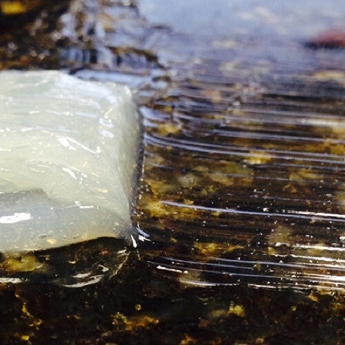 Tenax StrongEdge 45 1.5 Quart Set