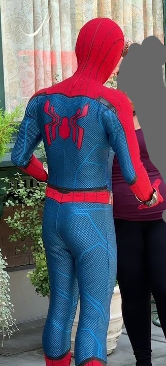 Spider-Man Cast Costume Back Piece