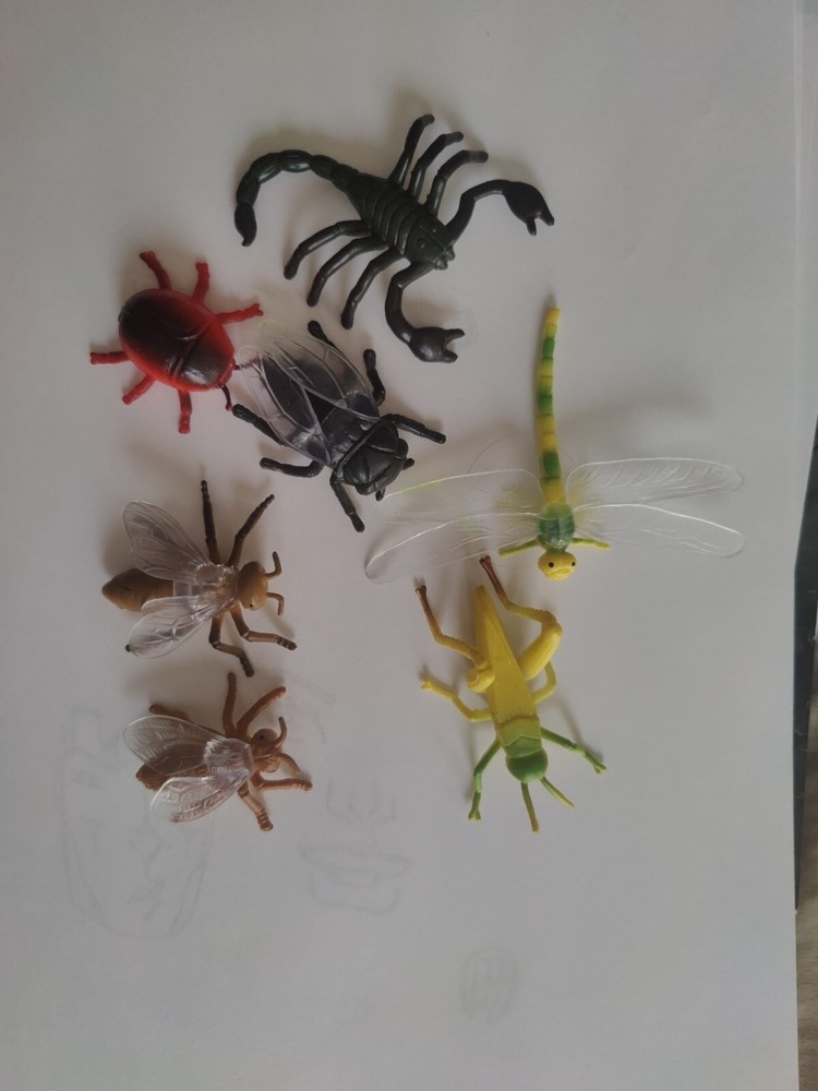 Insect plastic bug lot & Black Scorpion