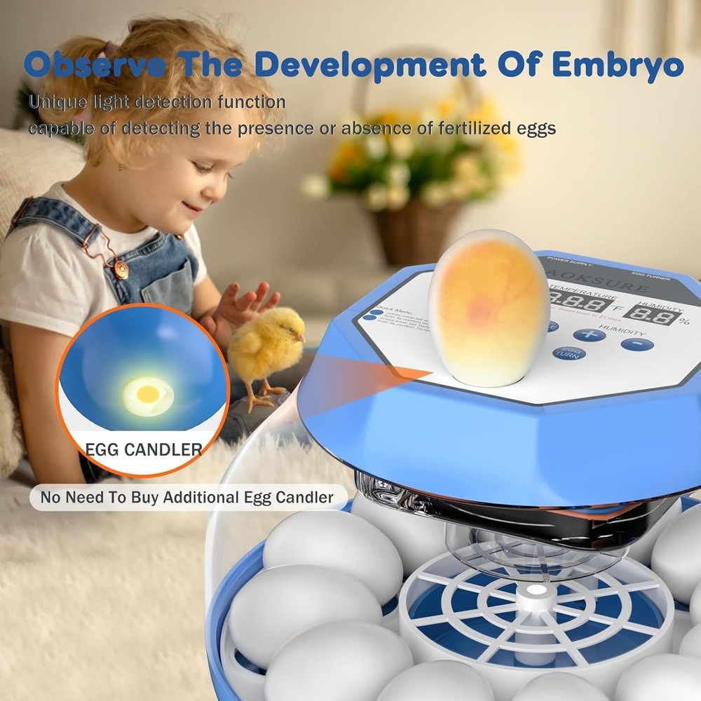 12-24 Egg Capacity Automatic Egg Turner, Temperature & Humidity Control