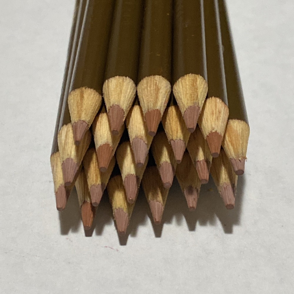 (20) Crayola Colored Pencils (light brown) BULK