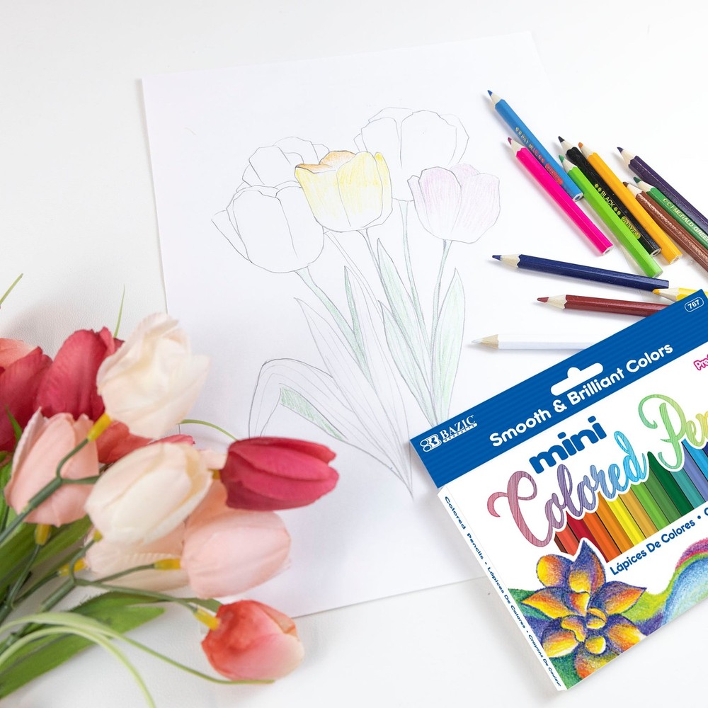 BAZIC 24 Mini Colored Pencils, pack of 24
