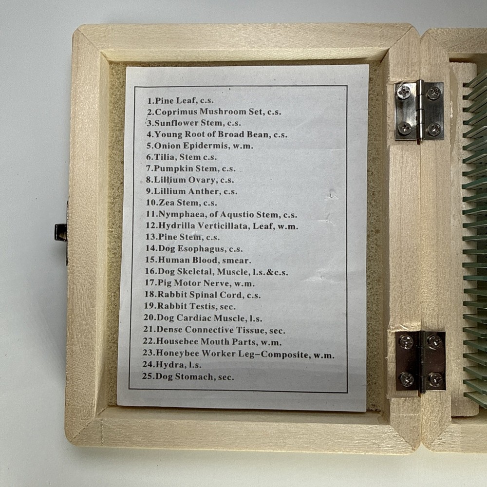 AmScope 25 Prepared Microscope Slide Set for Basic Biological Science