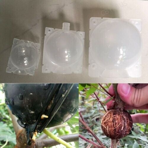 Garden Fruit Tree Plant Rooting Ball Root Growing Boxes Case Grafting Rooter CB1