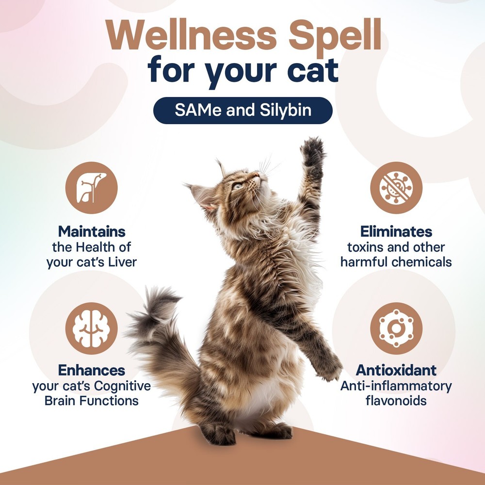 SilymarinAdvanced Liver Supplement for Cats - 30 tablets