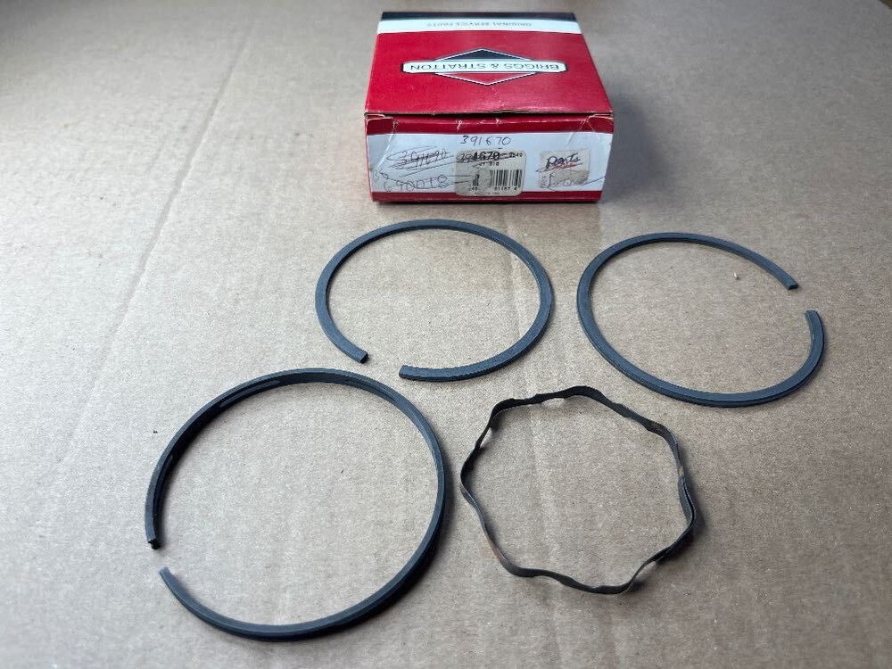 Briggs & Stratton 391670 RING PISTON KIT