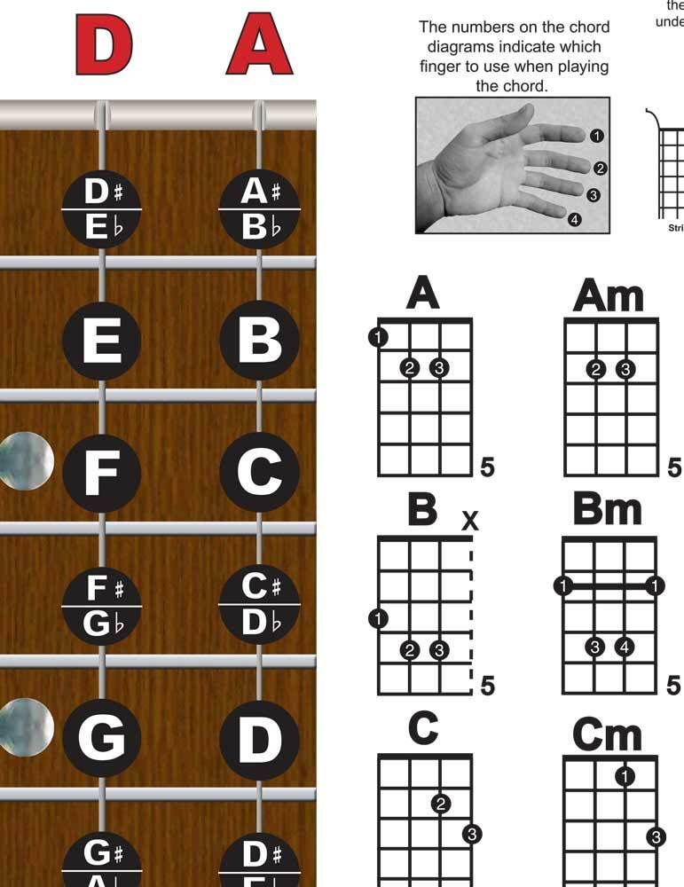 Laminated Tenor Banjo 4 String Fingerboard Wall Chord Chart Poster Notes Chords