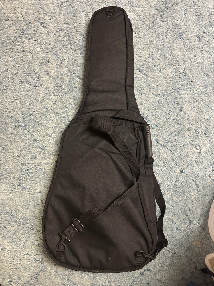 Road Runner Guitar Bag Case