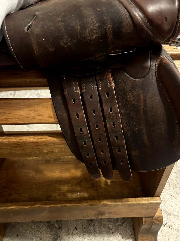 Ovation 13" All-Purpose Saddle – Includes Stirrups, Leathers & Stand