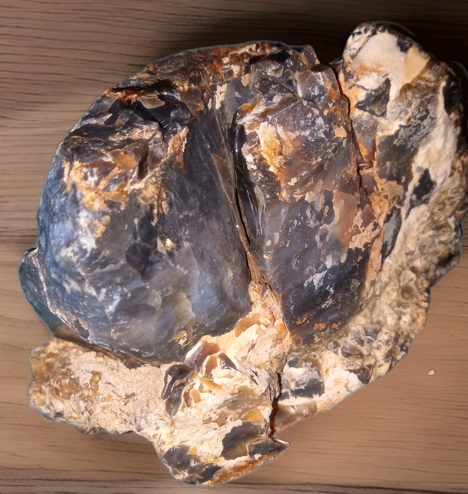 Dark Opalized Petrified Wood Rough 2 lbs