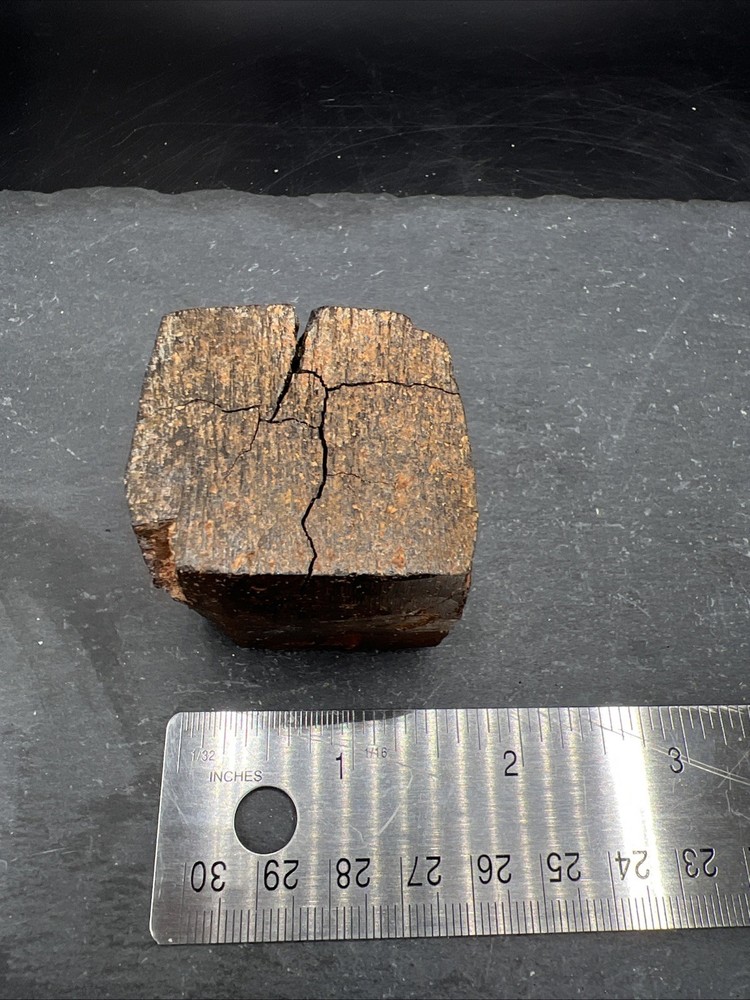 232g Petrified Wood Block Stone