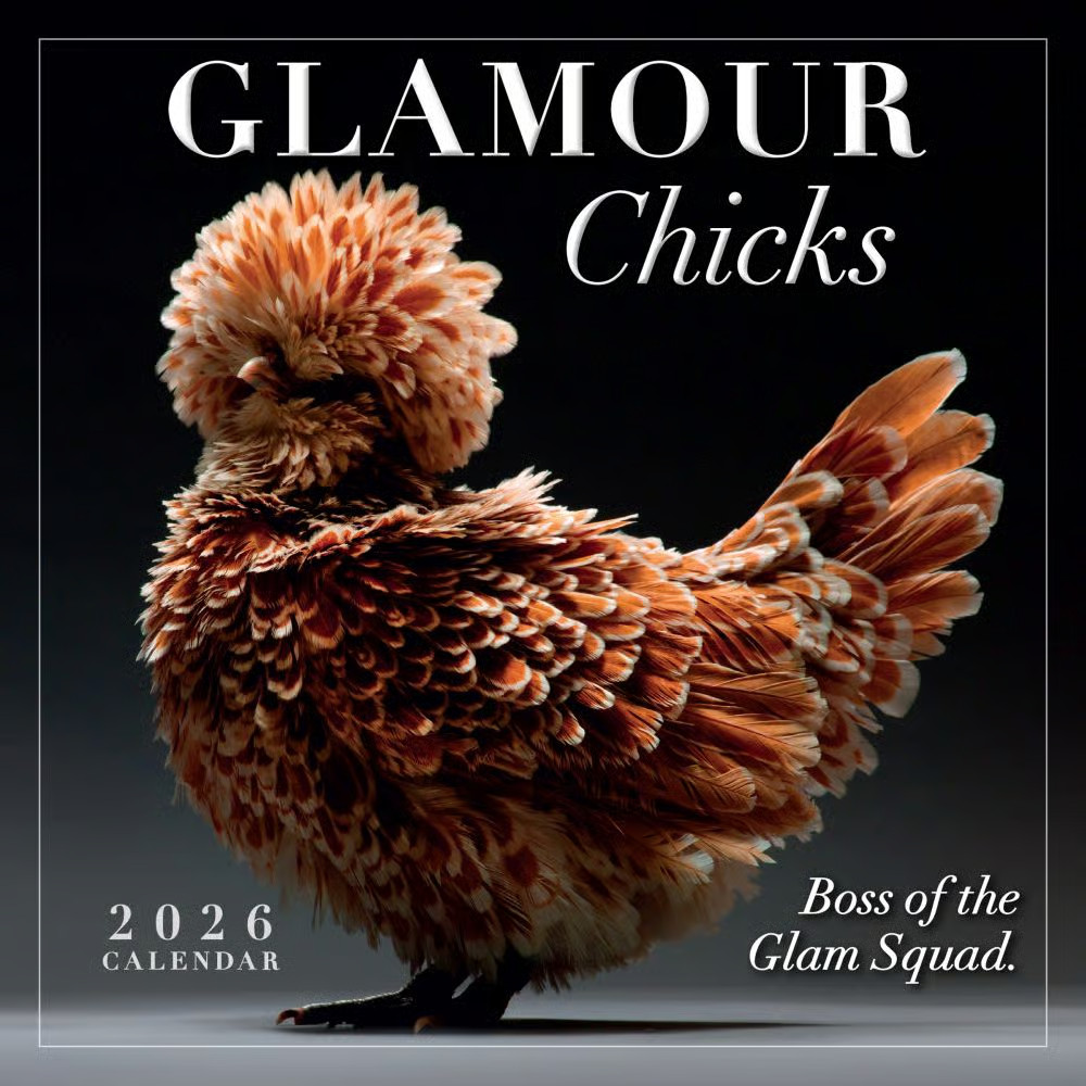 Sellers Publishing,  Glamour Chicks Mini