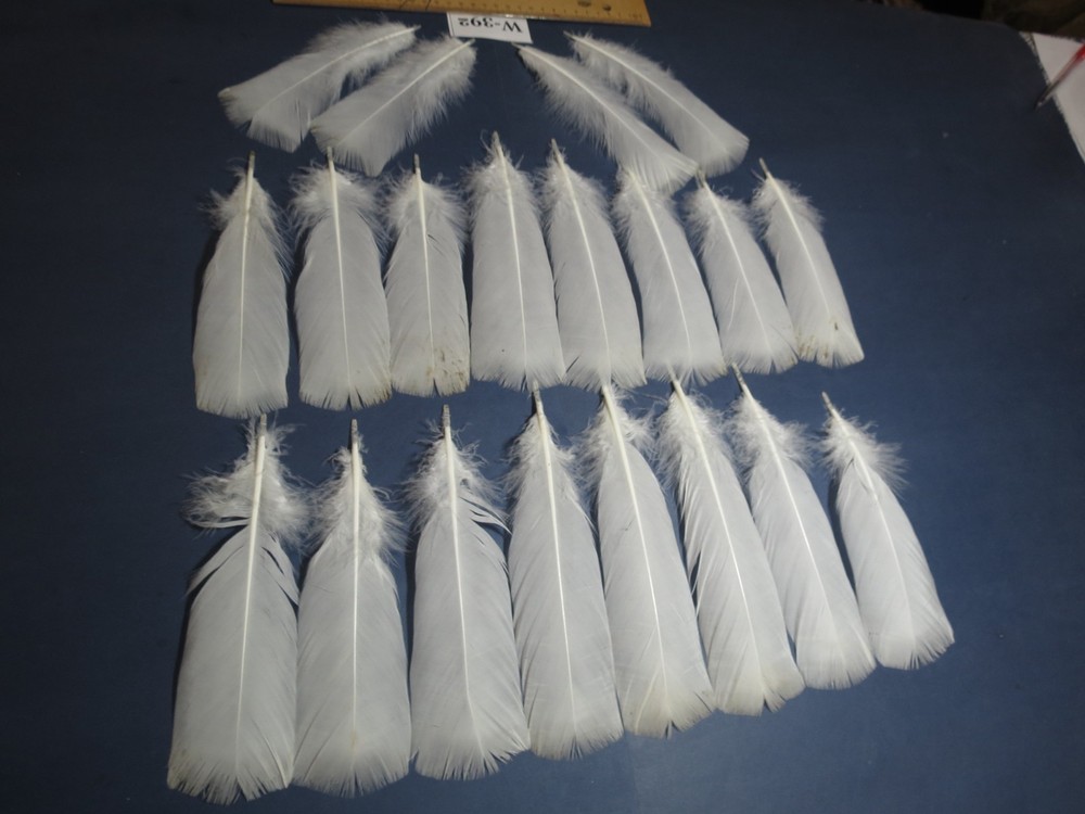 20 Pcs White Turkey Pre-Tail Feathers, Fly Tying Materials,Small Tails