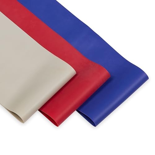 Loop Resistance Bands (3-Pack, Grey/Red/Blue), Light/Medium/Heavy, Odor-Free,