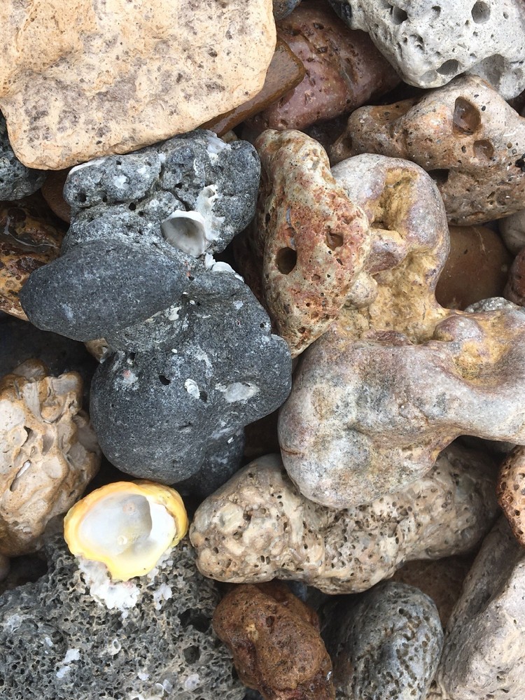 Florida Sea Rocks at least 2.5 LBS