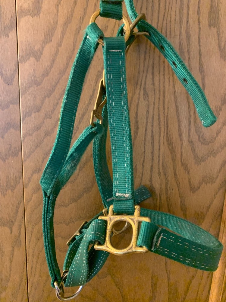 Green horse halter