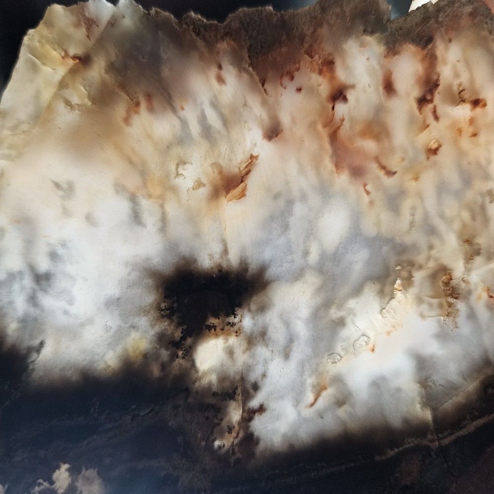 Unknown Lapidary Slab 115 Grams