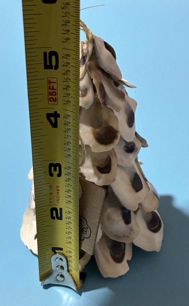 Mud Pie Oyster Shell Ornament 5" New with Tag