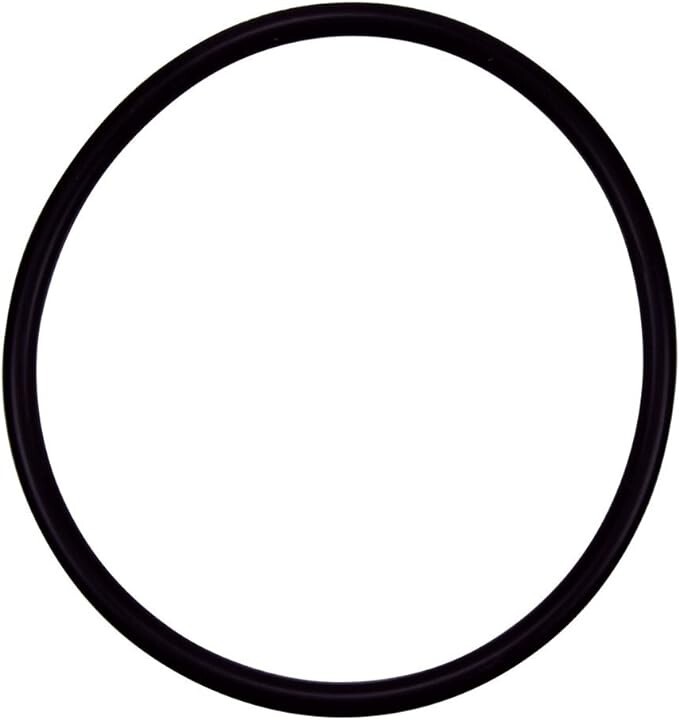 Cap O-Ring Replacement R172009 for Pentair Rainbow Pool Spa Feeder