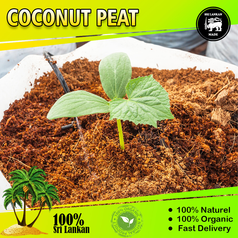 Coco Peat Coir Pith Compost Hydroponic Organic Dry Natural Growing Media Soil